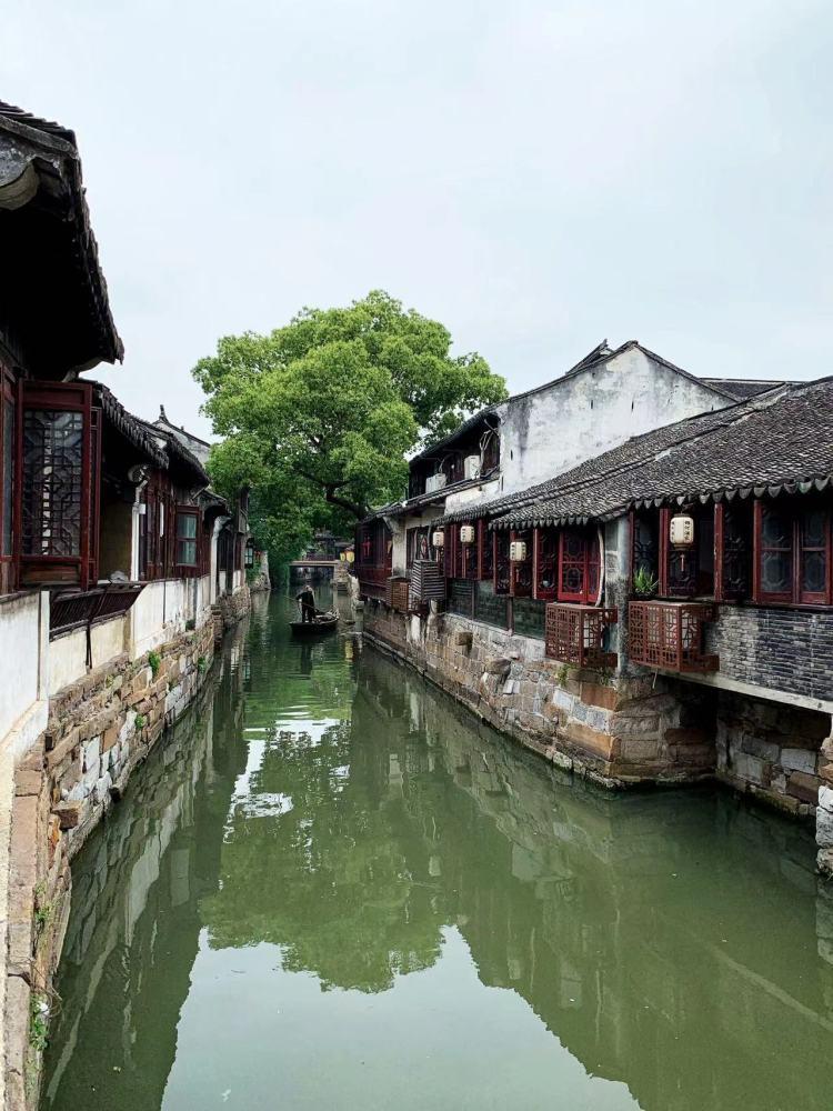 除虫大师